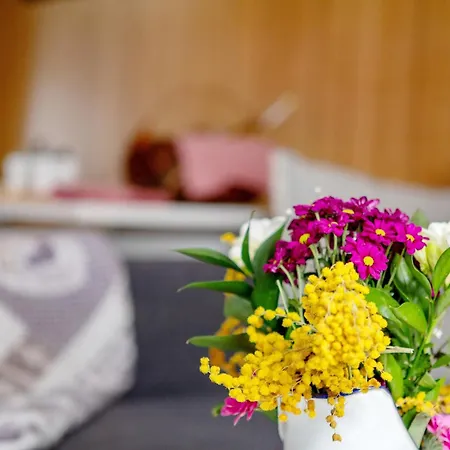 Da Lule Apartament Aosta